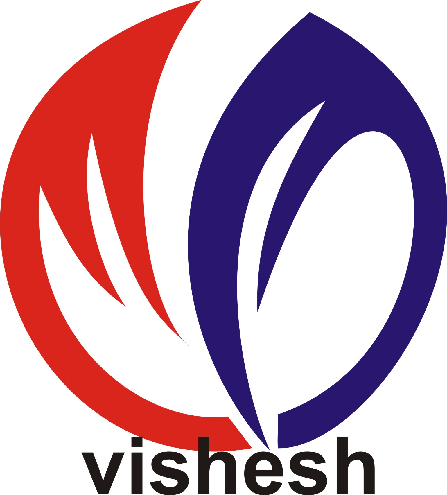 Vishesh Instruments & Electronics Pvt. Ltd. Logo